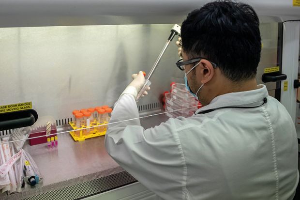 A technician cultivates lung cells as he preps for research into the infectivity of the SARS-CoV-2 in human lungs at a laboratory at the University of Hong Kong