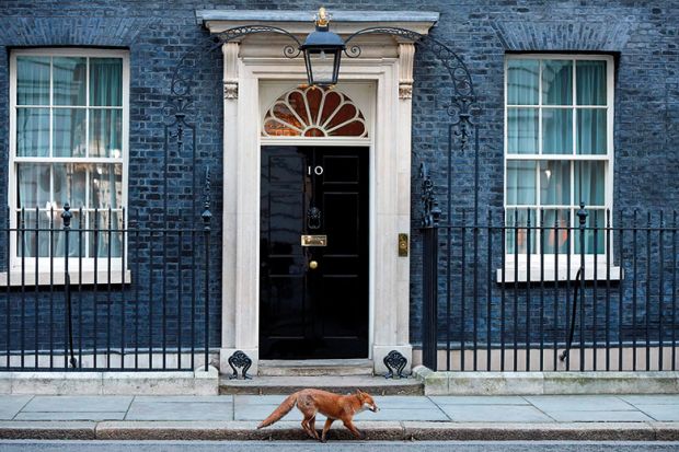 Fox at number 10