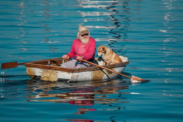 An elderly man and his dog paddling a row boat in Monterey Bay, California. 