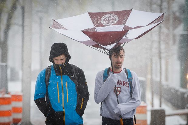 Harvard University students walk under a damaged umbrella near Harvard Square in Cambridge, MA in April