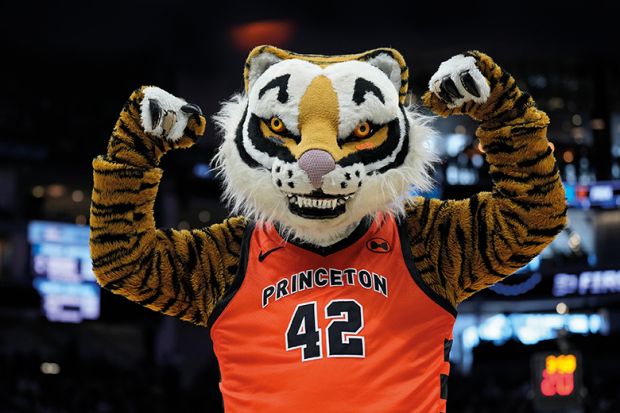 Man in a tiger suit wearing a Princeton sports shirt