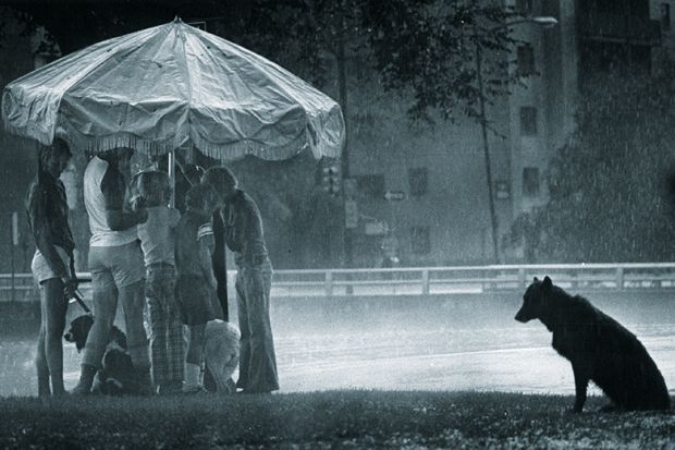 People grouped under an umbrella while a dog sits in the rain illustrating the status of doctoral researchers