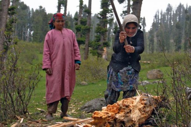 Kashmiri women chop wood with an axe in Doodhpathri Valley, India to illustrate India makes cuts to higher education budget as focus turns to skills