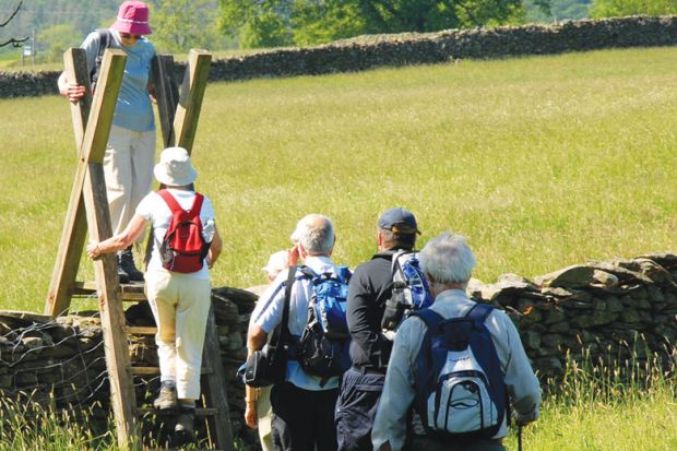 Group of elderly people on walking holiday negotiating a ladder access over a wall between fields, English Lake District