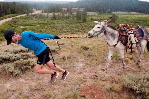 Person trying to pull a donkey to illustrate Canada hesitates to join global research race