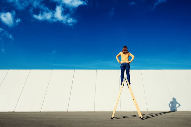 Woman on ladder looking over wall