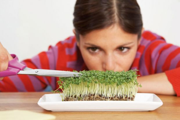 Woman trimming sprouts with scissors