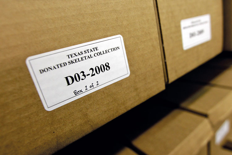 Texas State donated skeletal collection box