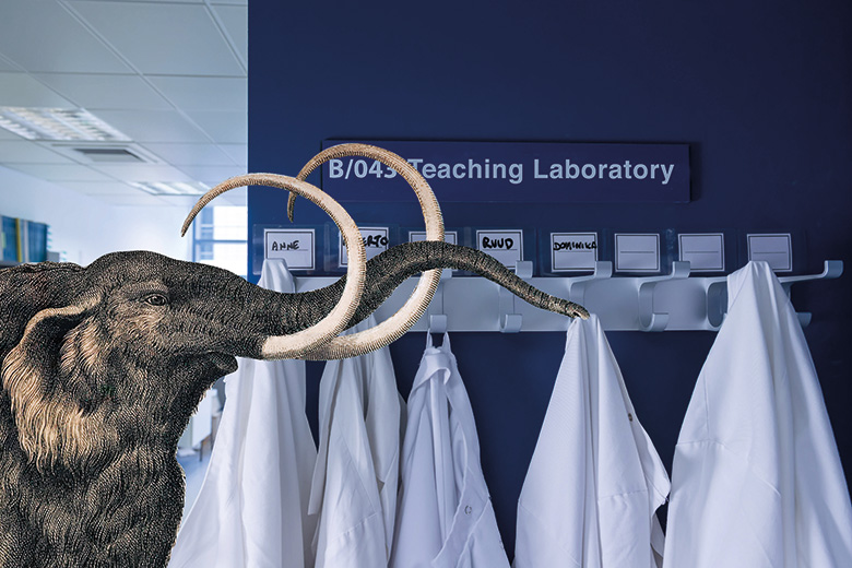 A woolly mammoth in a laboratory