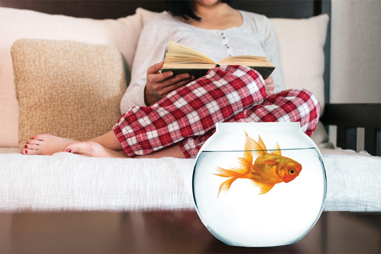 Upside down goldfish floating in bowl
